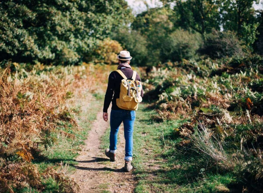 Man Walking In Nature